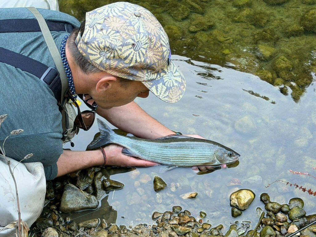 Ombre de 43 cm pris par fanfouet