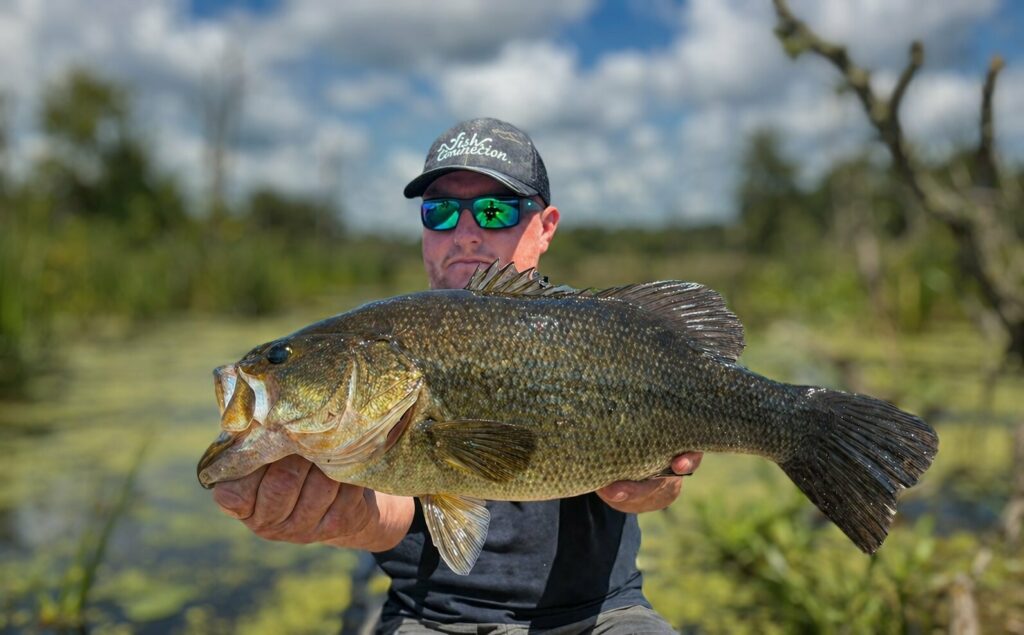 Black-bass de 48 cm pris par Juju33