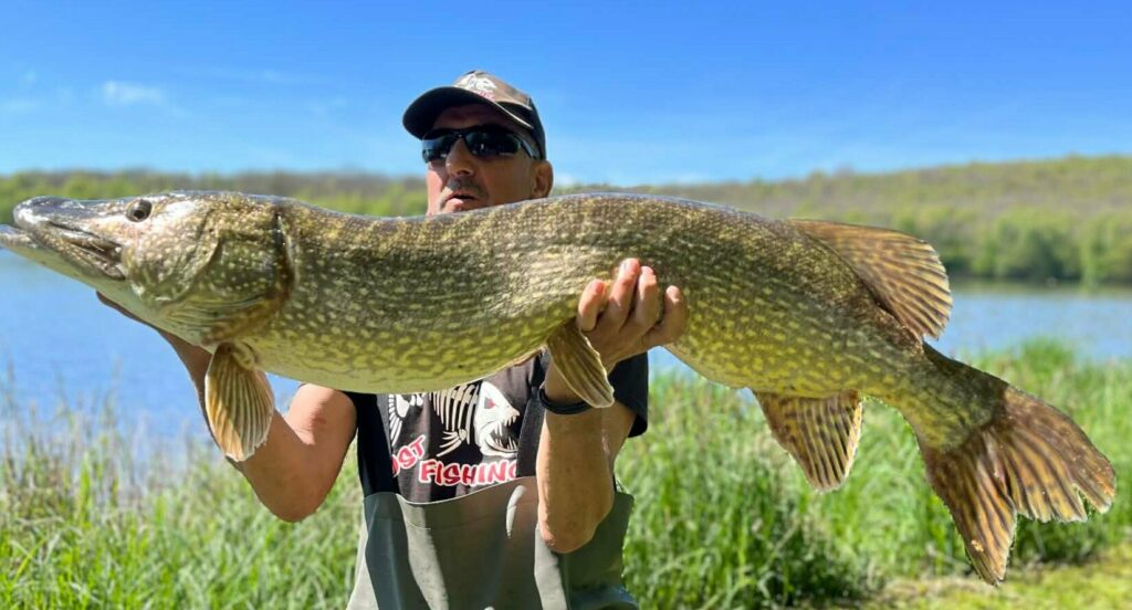 Brochet de 121 cm pris par Mich