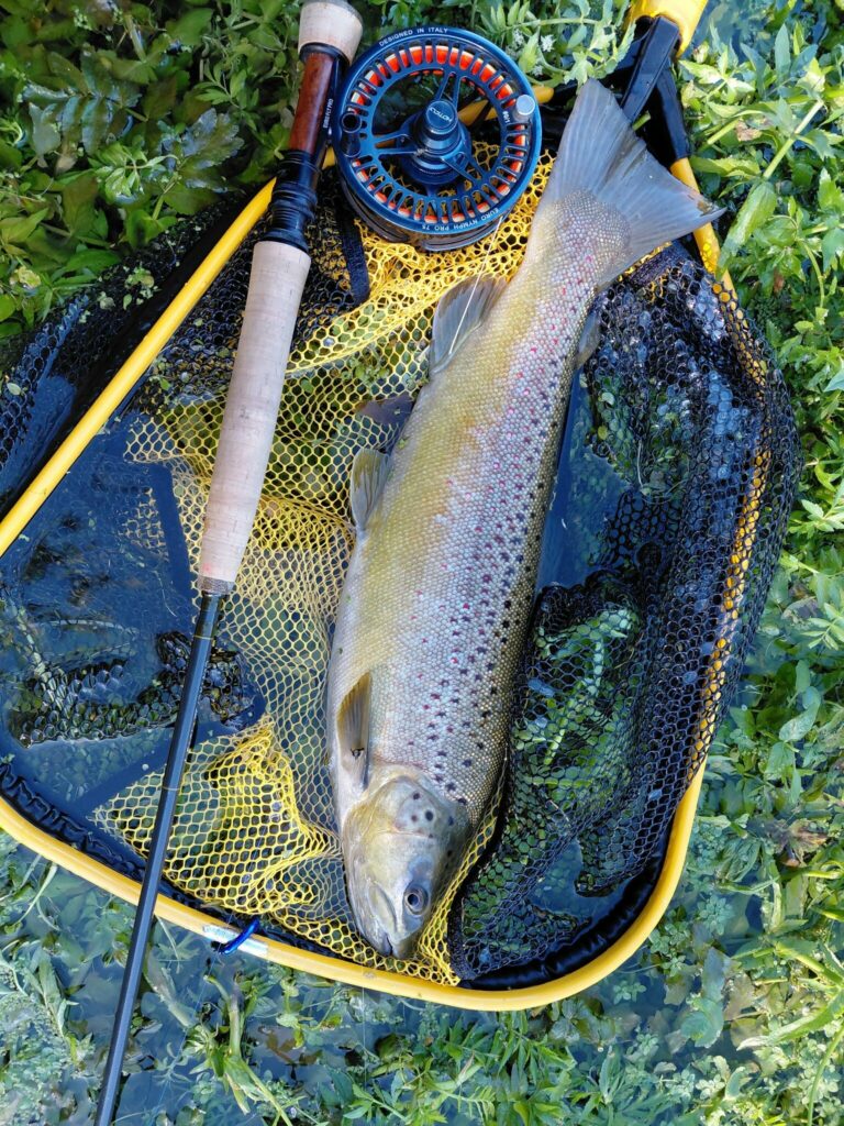 Truite de 48 cm pris par Serge