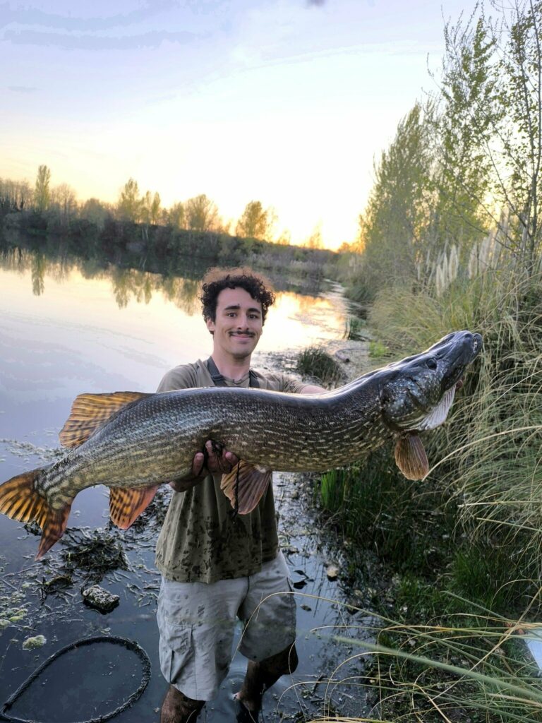 Brochet de 111 cm pris par Timéo