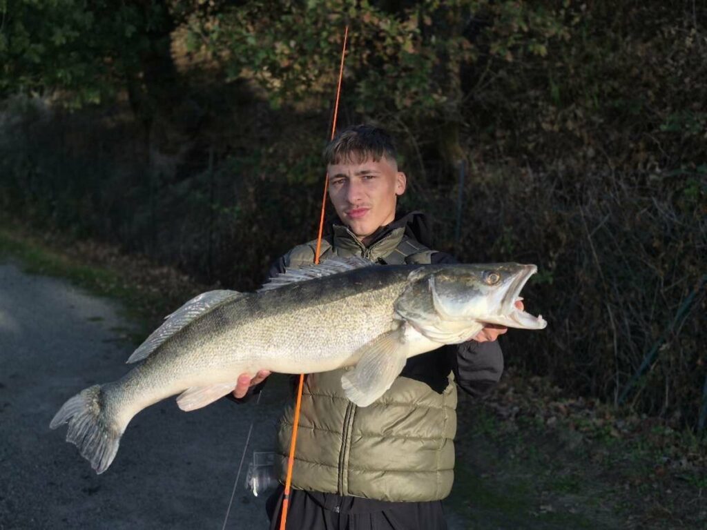 Sandre de 89 cm pris par Menphys